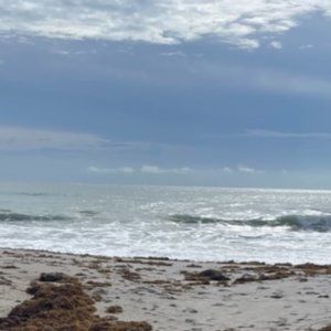 Meet your Posher, Elaine